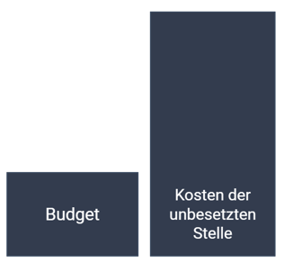 Budget und Kosten der unbesetzten Stelle